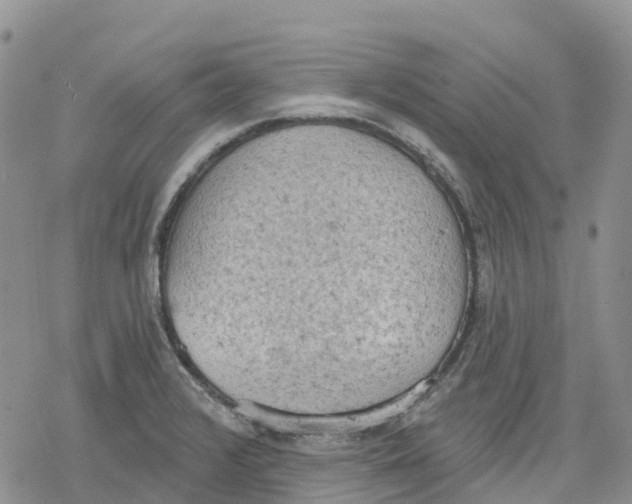 X0000078231376200611251203