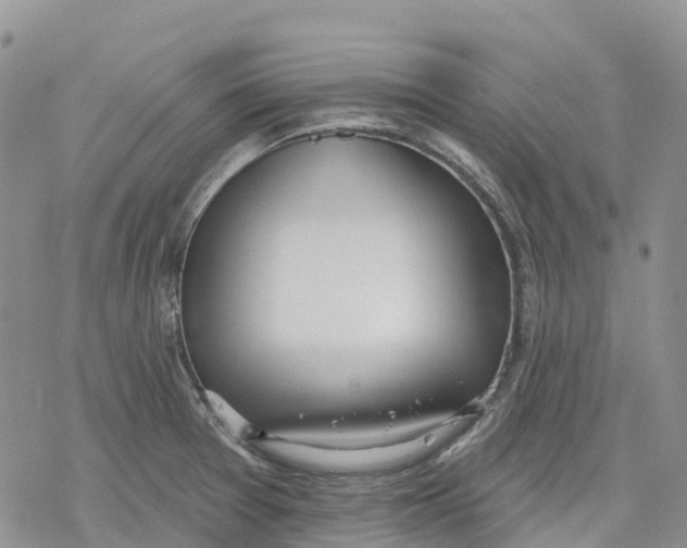 X0000078231377200611251203