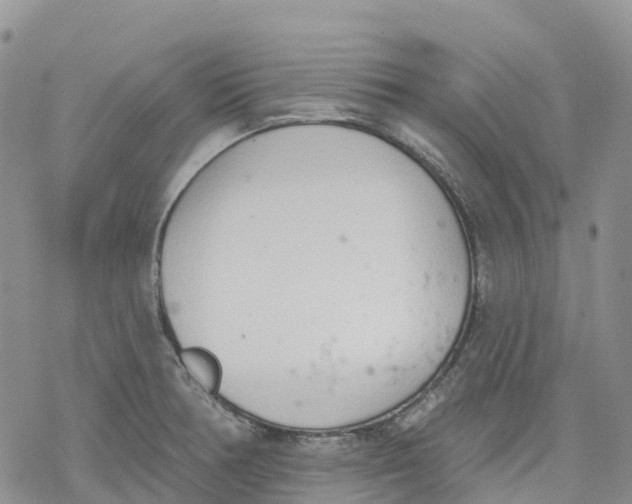 X0000078231378200611251203