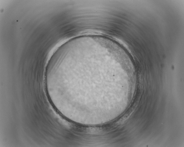 X0000078231379200611251203