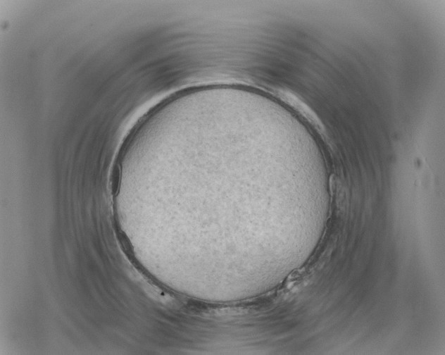 X0000078231380200611251203