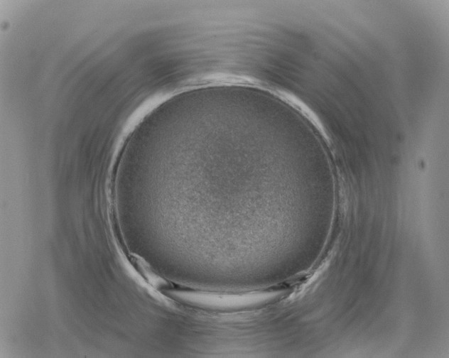 X0000078231381200611251203