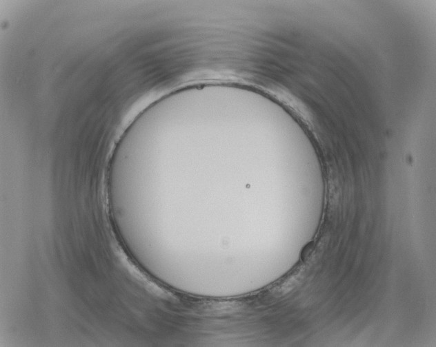 X0000078231382200611251203