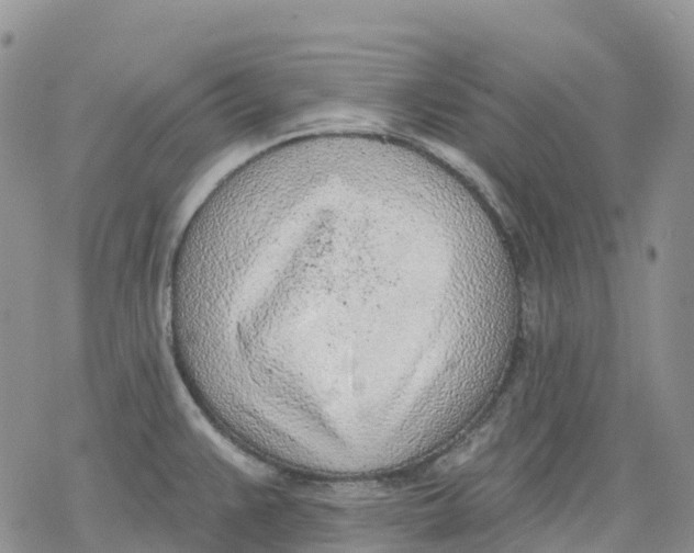 X0000078231383200611251203