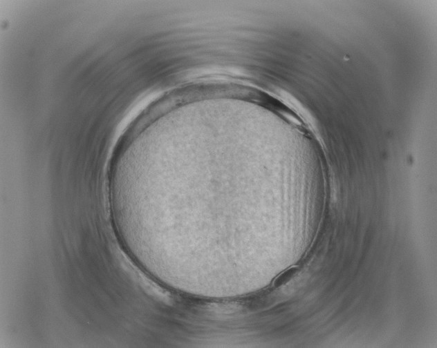 X0000078231384200611251203