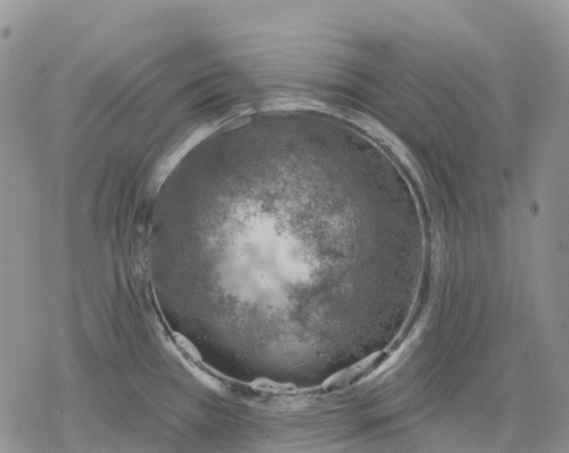 X0000078231385200611251203