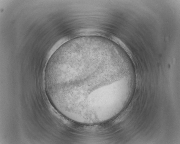 X0000078231386200611251203