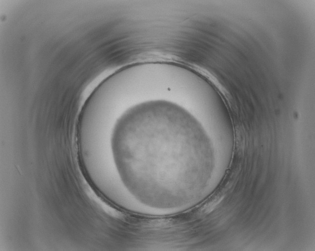 X0000078231387200611251203