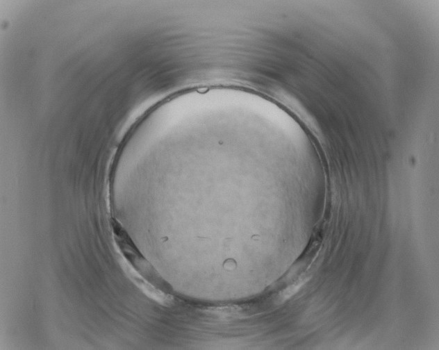 X0000078231388200611251203