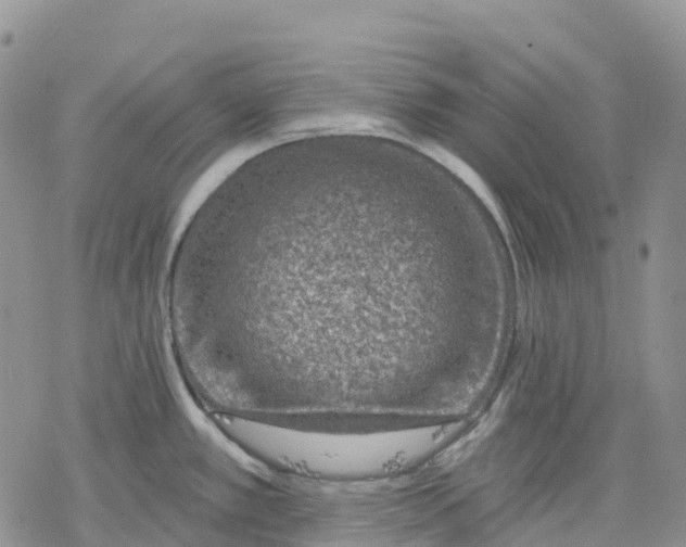 X0000078231389200611251203