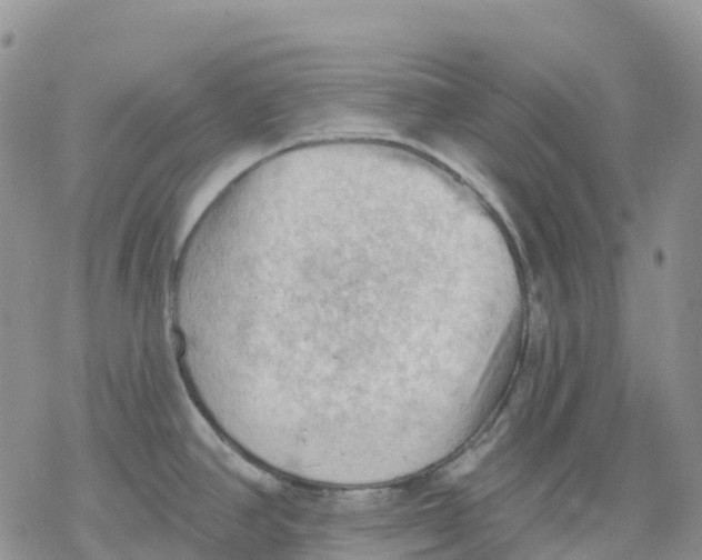 X0000078231390200611251203