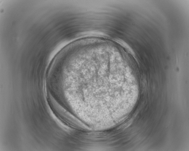 X0000078231391200611251203