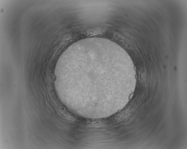 X0000078231393200611251202