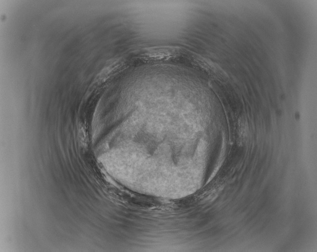 X0000078231394200611251202