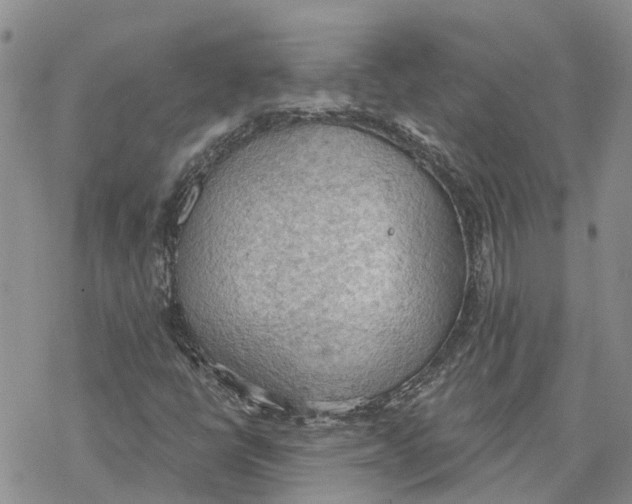 X0000078231398200611251202