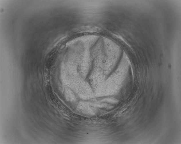 X0000078231399200611251202