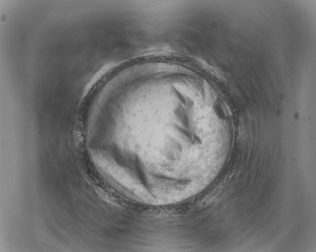 X0000078231400200611251202