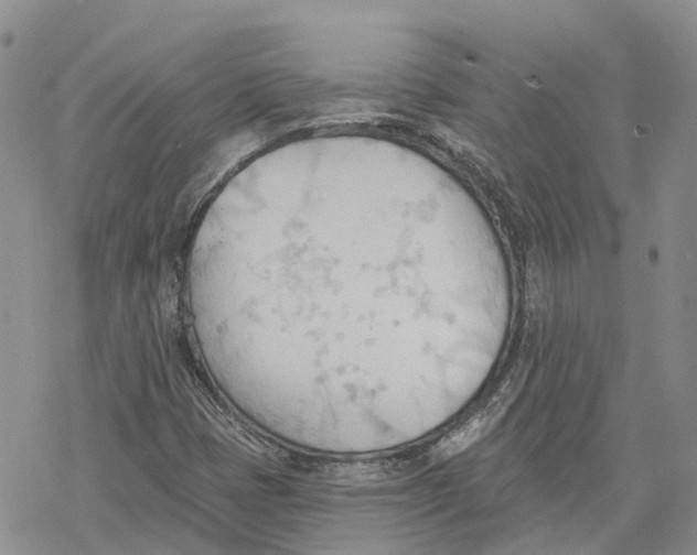 X0000078231401200611251202