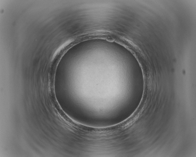 X0000078231402200611251202