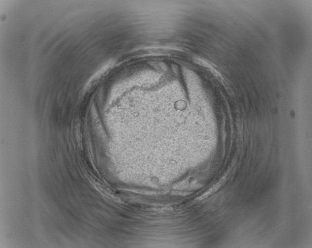 X0000078231403200611251202