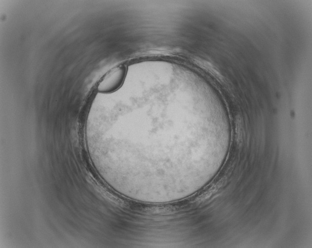 X0000078231404200611251202