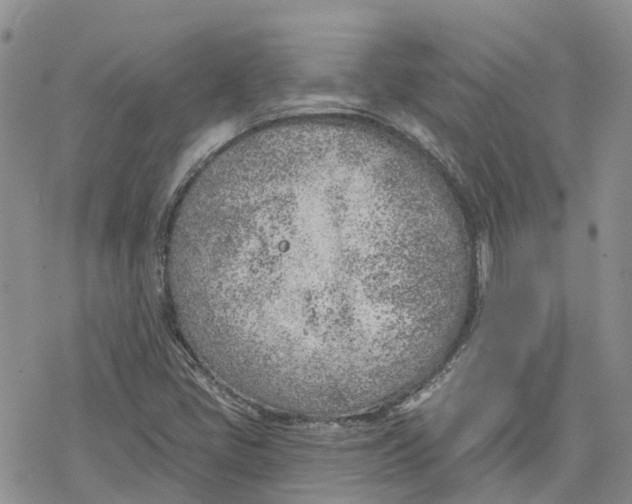 X0000078231405200611251202