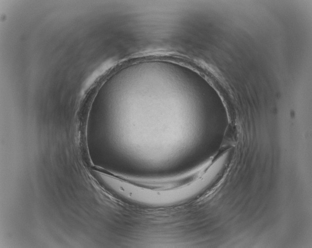 X0000078231406200611251202