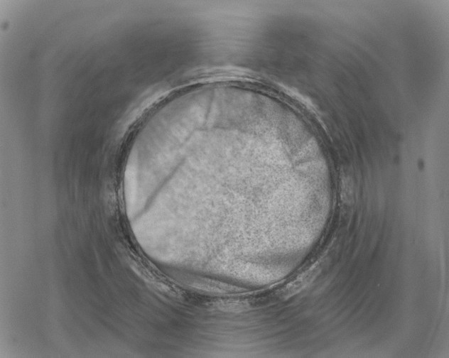 X0000078231407200611251202