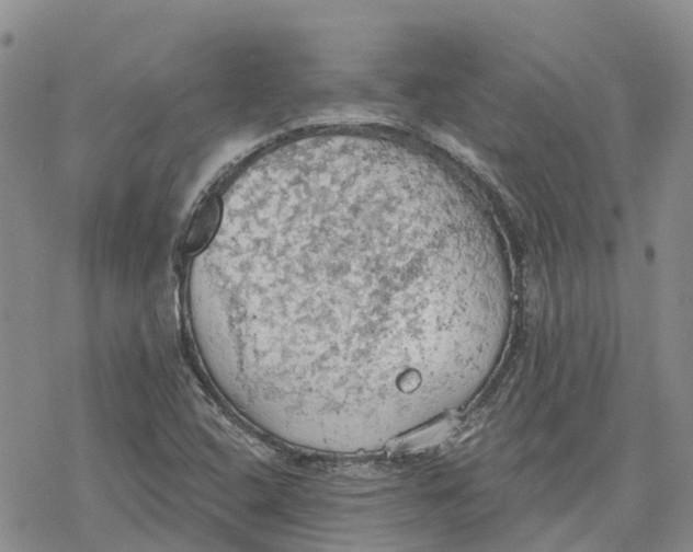 X0000078231408200611251202