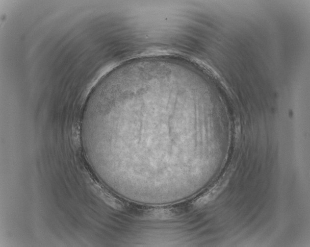 X0000078231409200611251202