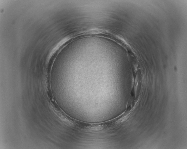 X0000078231410200611251202