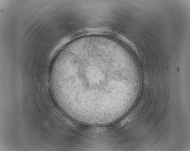 X0000078231411200611251203