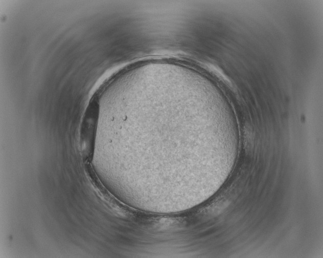 X0000078231412200611251203