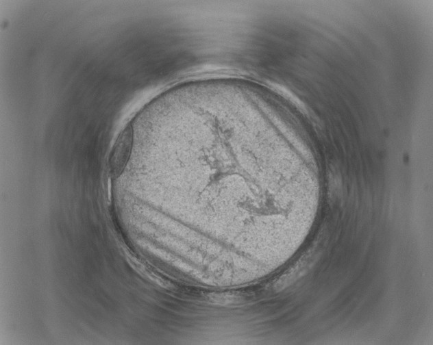 X0000078231413200611251203