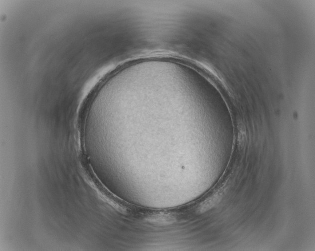 X0000078231414200611251203