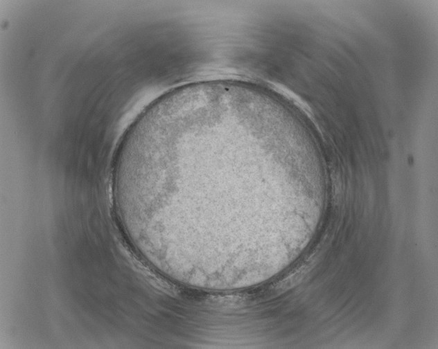 X0000078231415200611251203