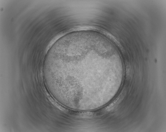 X0000078231417200611251203