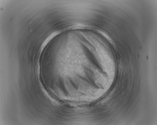 X0000078231418200611251203