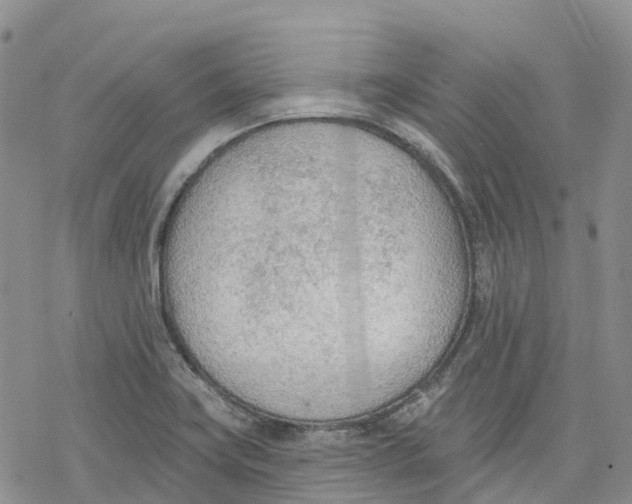 X0000078231419200611251203