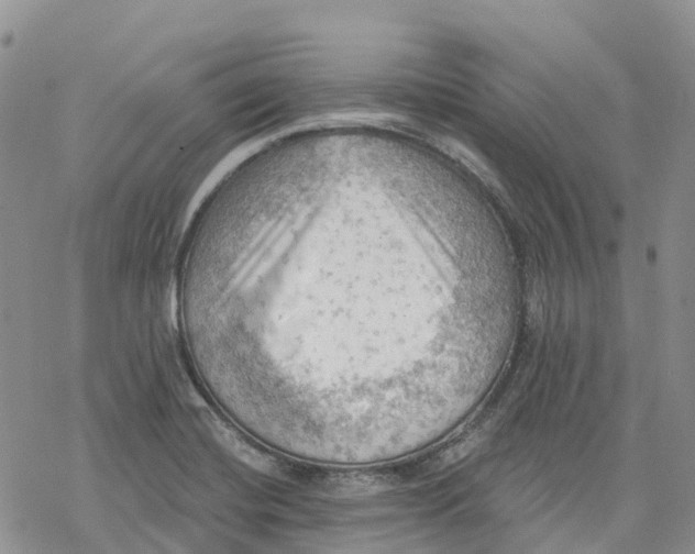 X0000078231420200611251203