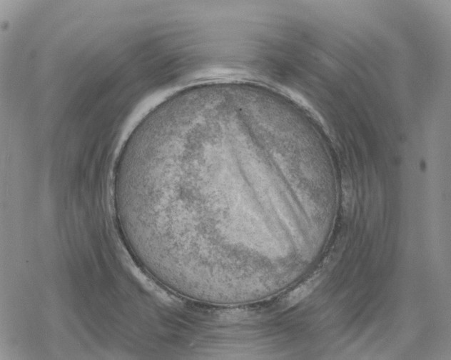 X0000078231421200611251203