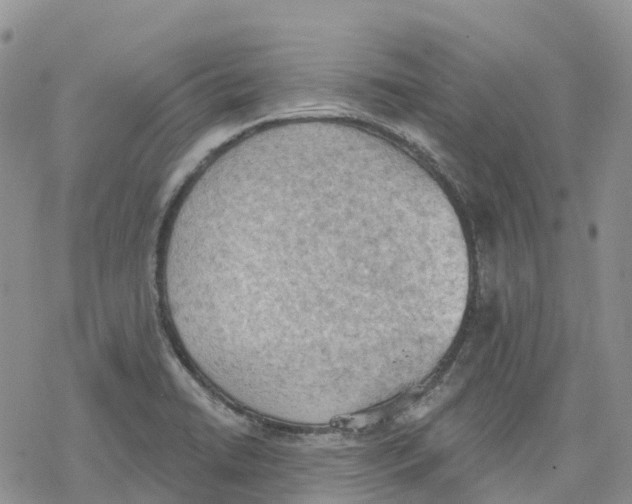 X0000078231422200611251203