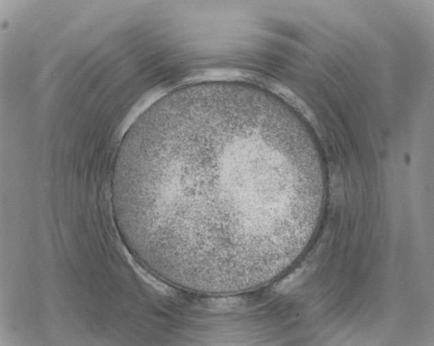 X0000078231425200611251203