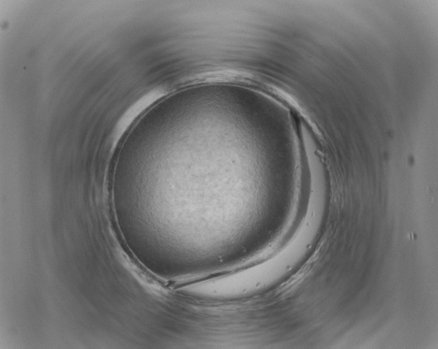 X0000078231426200611251203