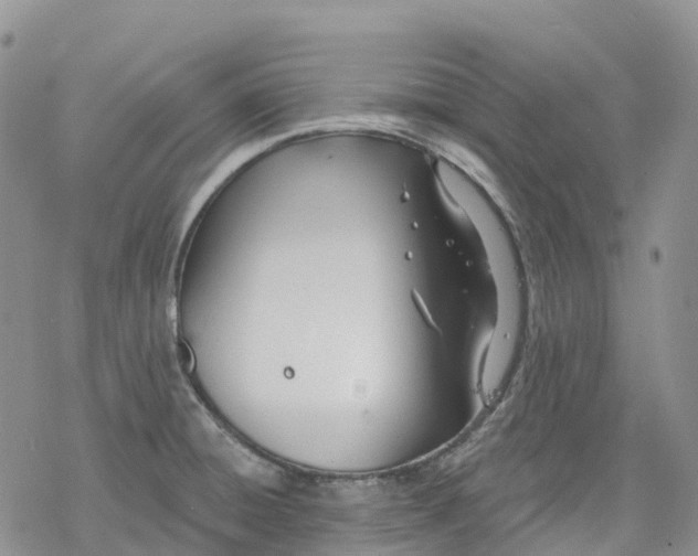 X0000078231428200611251203