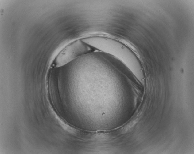 X0000078231430200611251203