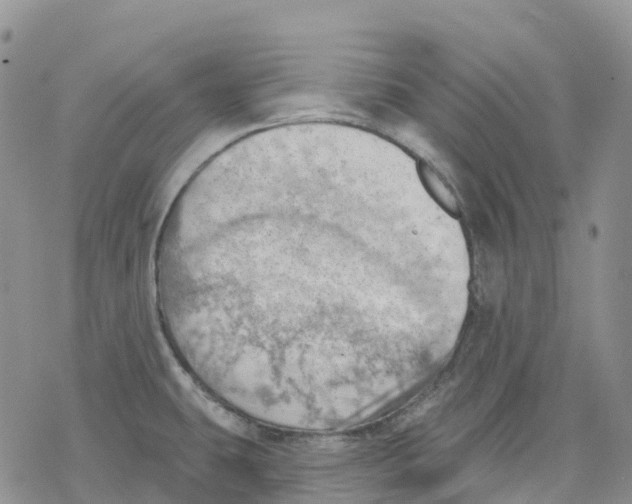 X0000078231431200611251203