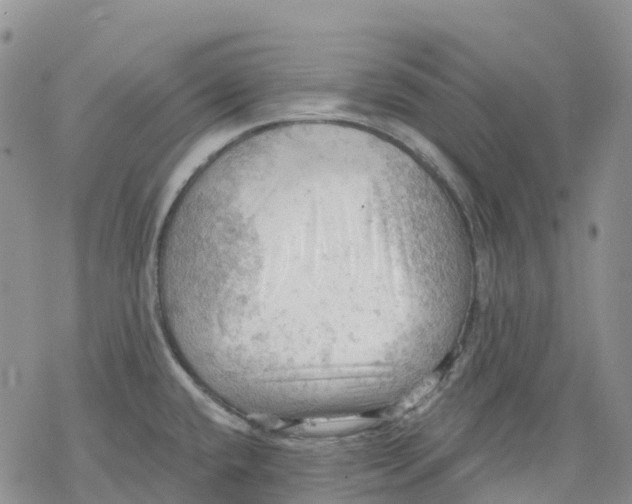 X0000078231432200611251203