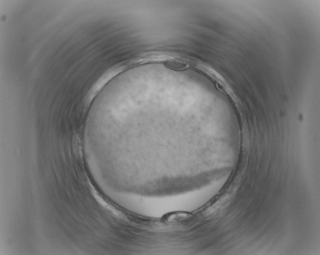 X0000078231433200611251203