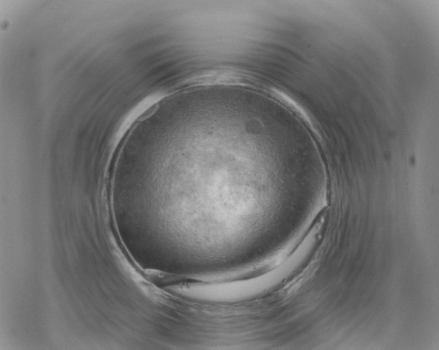 X0000078231434200611251203